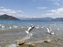 -丽江泸沽湖景区