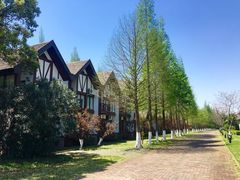 -太阳岛度假酒店