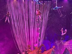 -广州长隆国际大马戏