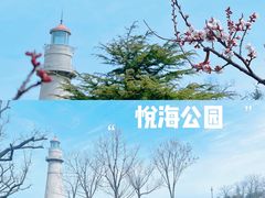 -悦海公园