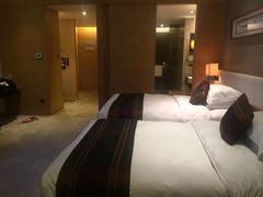 -河源万绿湖美思威尔顿酒店