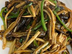 -丁老爷子苏香圆