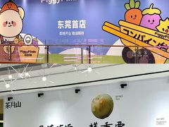 -东莞松山湖万象汇