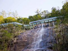 -九龙江国家森林公园