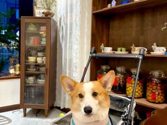 -艾蜜西餐厅(梅园店)