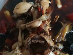 -鸿顺老铁锅美蛙鱼府(解放碑店)