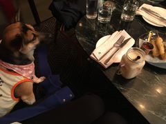 -the rug 飞毯 (朝阳公园店)