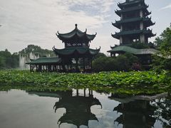 -桂湖森林公园