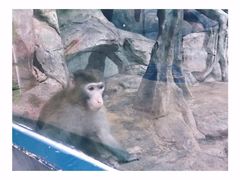 -福州罗源湾海洋世界旅游区