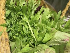 -芸山季·云南山珍菌火锅(南翔印象城MEGA店)