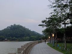 -顺峰山公园