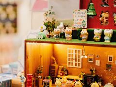 -猫的天空之城概念书店(束河店)