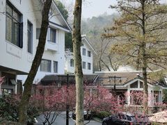 -杭州花家山庄