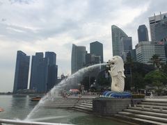 iphone_upload_pic-鱼尾狮公园