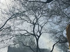 -白云观