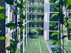 -樟宜机场皇冠假日酒店 （SG Clean） - IHG 旗下酒店