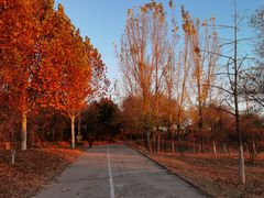 -北京西山国家森林公园