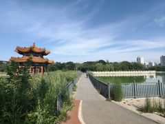 -人民公园(黄骅市)
