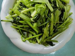 -煲来饱去冷水鱼