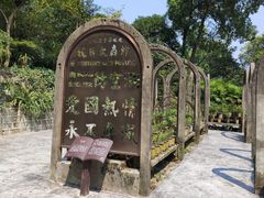 -南山植物园