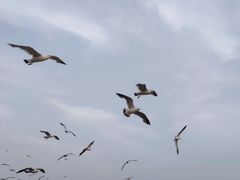 -星海广场
