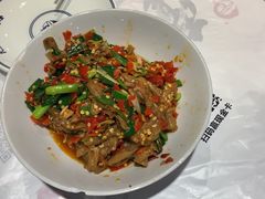 -壹盏灯(惠农店)