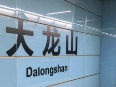 -大龙山(地铁站)