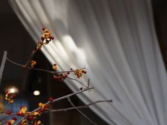 -一号铺子·大炉茶