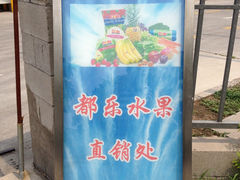 都乐直销指引牌-Dole都乐水果直营