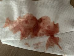 -佳雯宠物医院(四明中路分院)