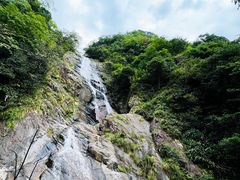 -东天目山风景区