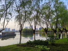 -天鹅湖体育公园