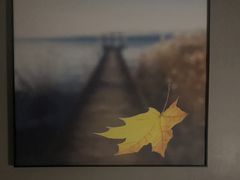 -铭洋专业采耳(田子坊店)