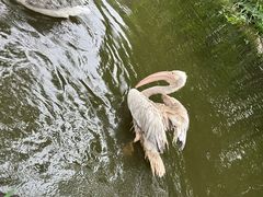 -济南野生动物世界
