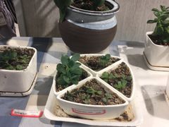 -新荟城(望京店)