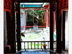 -上海老饭店(北京分店)