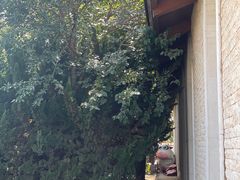 -君乐宝优致牧场