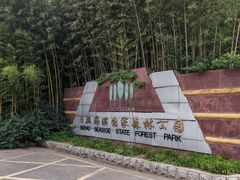-日照海滨国家森林公园
