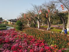 -映月湖公园