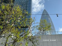 -深圳湾万象城(南山店)