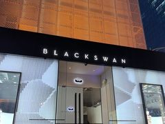 -BLACKSWAN黑天鹅(环球店)