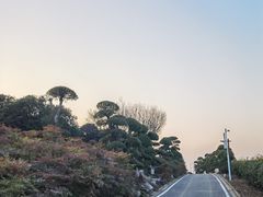 -武汉紫薇都市田园