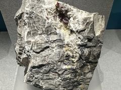 -贵州省地质博物馆