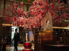 -金轩中餐厅 Jin Xuan(浦东丽思卡尔顿酒店)