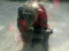 -石家庄市动物园