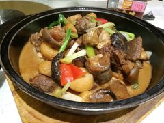 支竹羊腩煲-福鼎轩海鲜大酒楼(皇轩酒店)