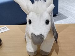 -华晨宝马铁西工厂