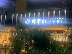 -野萃山·潮汕厚果汁(十亩地店)