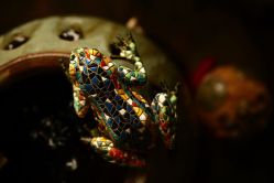 店内环境-老黑造型