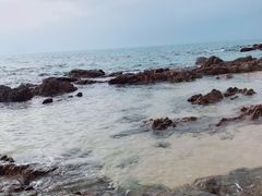 -海南棋子湾开元度假村·祺咖啡自助餐厅